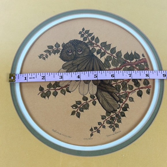 Vintage Ltd Edition Owl in a Branch signed numbered lithograph Yvonne Davis 77’ - Picture 5 of 9